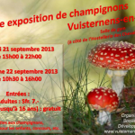Expo champignons - 2013