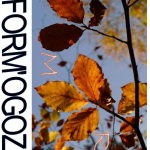 Inform'Ogoz - Novembre 2015